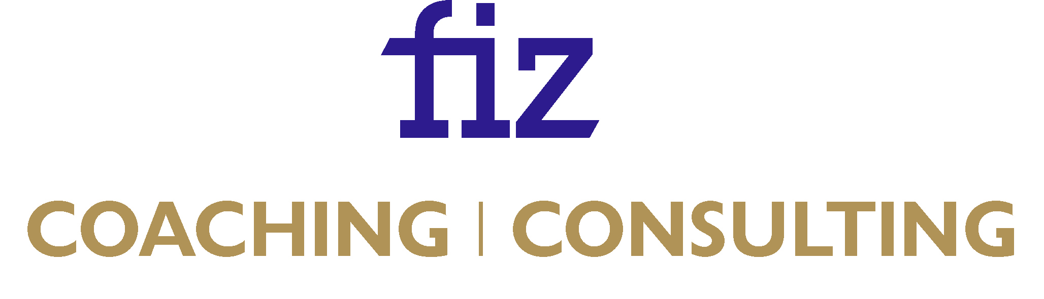 FIZ-Coaching